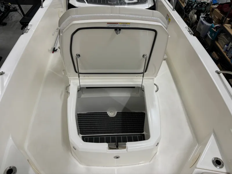 Slide: The Image of Boston Whaler 250 Dauntless 2024 - 27