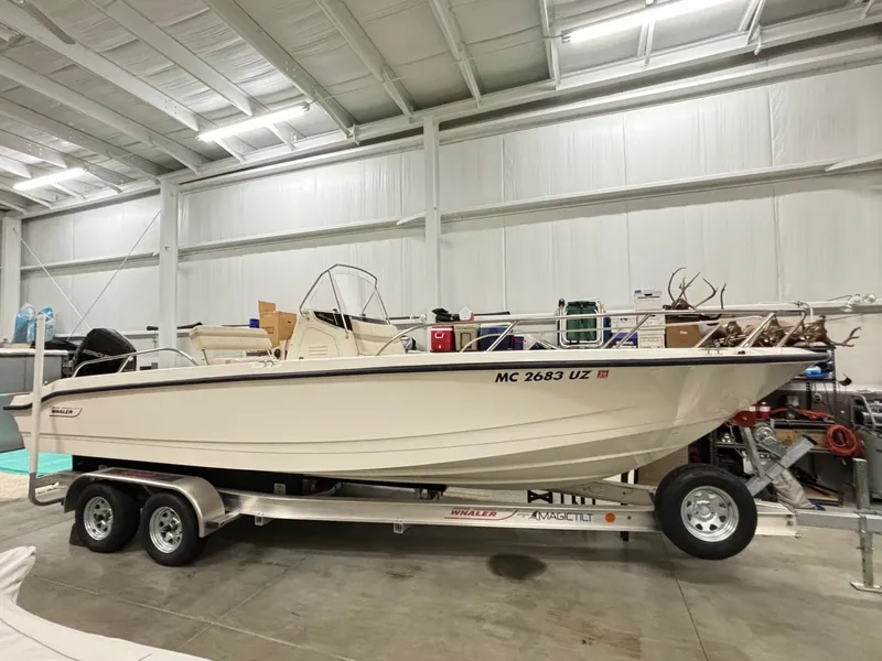 Slide: The Image of Boston Whaler 250 Dauntless 2024 - 3