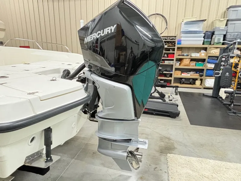 Slide: The Image of Boston Whaler 250 Dauntless 2024 - 7