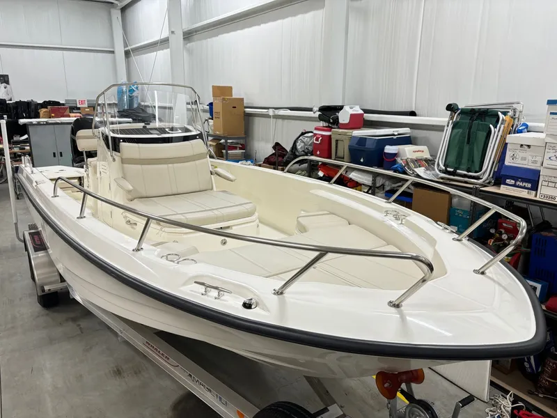 Slide: The Image of Boston Whaler 250 Dauntless 2024 - 8
