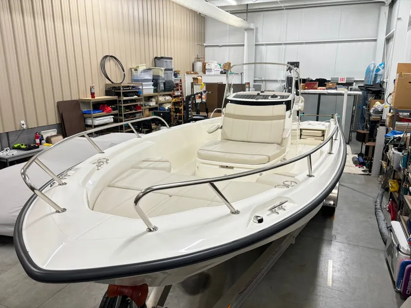Slide: The Image of Boston Whaler 250 Dauntless 2024 - 9