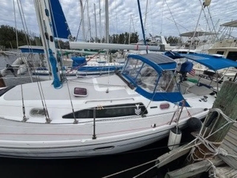 The Image of Catalina 2006 - 0