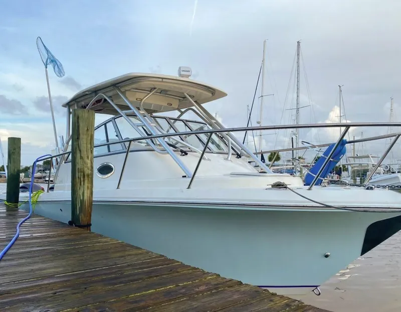 Slide: The Image of Sailfish 2015 - 15