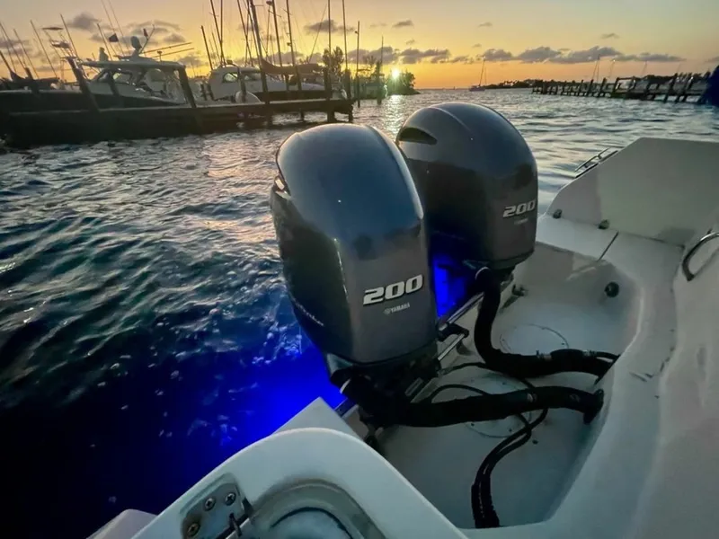 Slide: The Image of Sailfish 2015 - 4