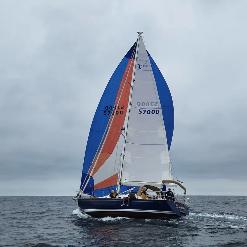 Slide: The Image of Tartan 4000 2016 - 2