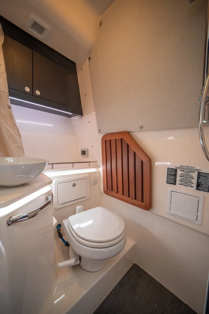 Slide: The Image of Boston Whaler 380 Realm 2024 - 51