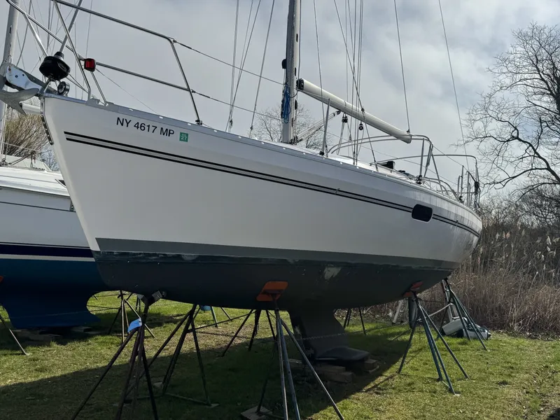 The Image of Catalina 315 2019 - 0