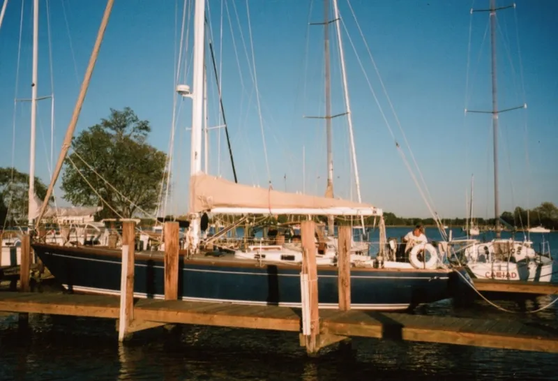 Slide: The Image of Swan 43 1969 - 4