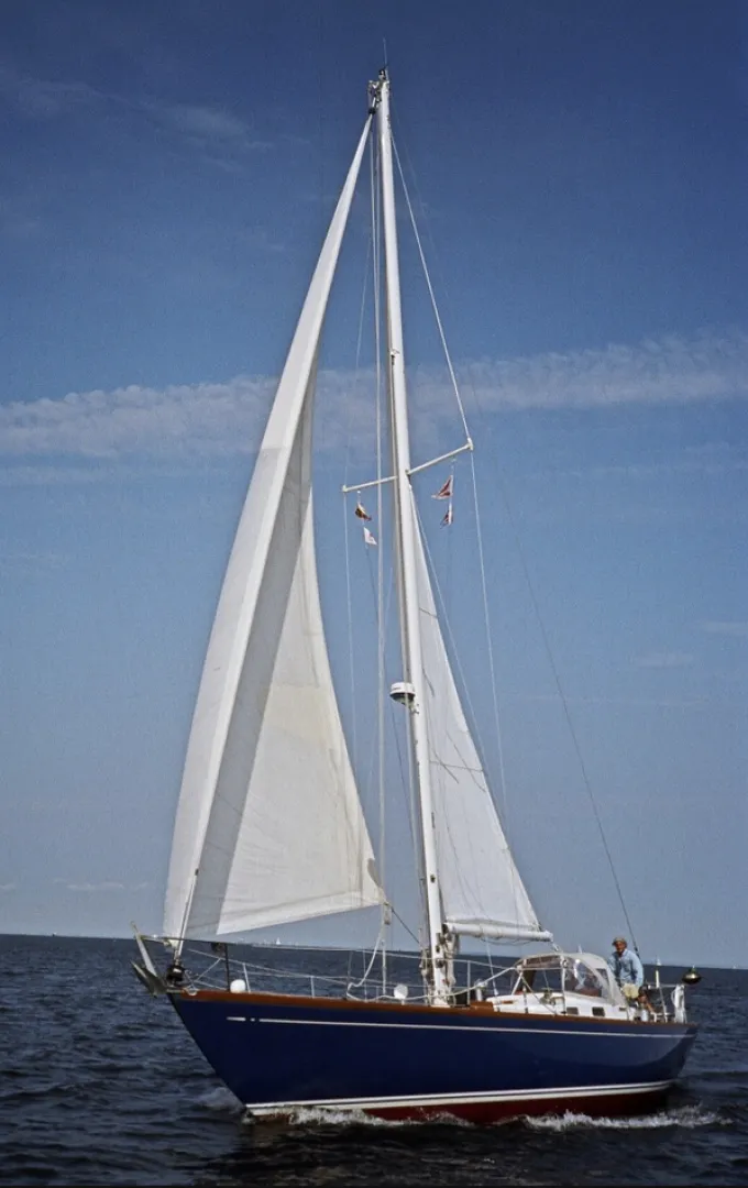 Slide: The Image of Swan 43 1969 - 5