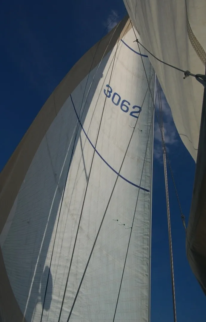 Slide: The Image of Swan 43 1969 - 6