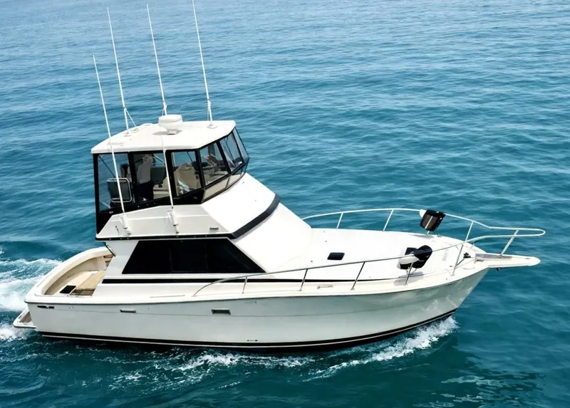 The Image of Viking Convertible 1986 - undefined