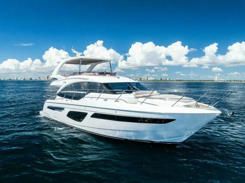 The Image of Princess F55 2022 - 0