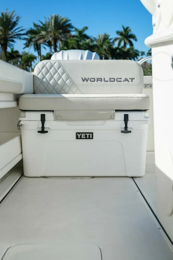 Slide: The Image of World Cat 295 2024 - 23