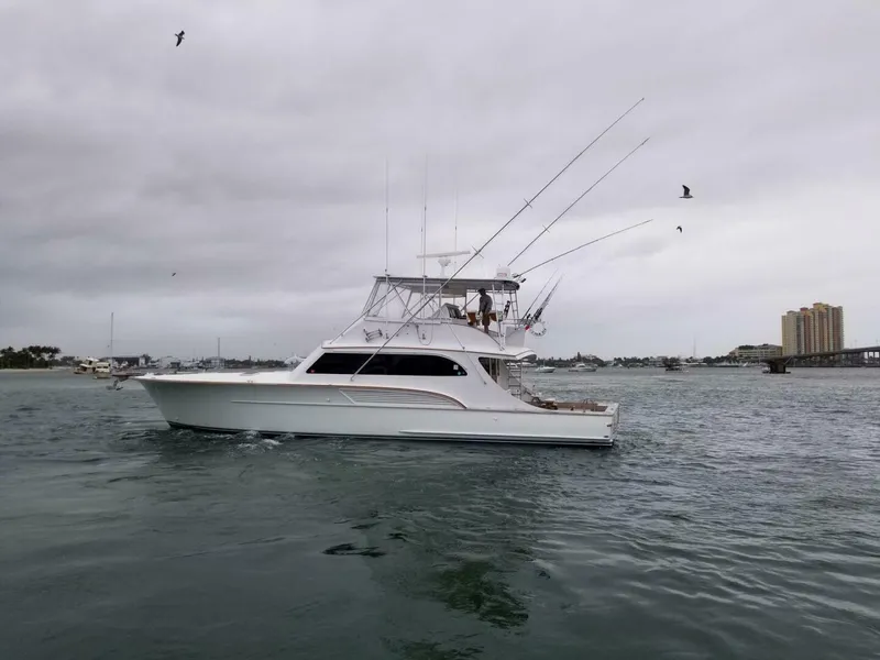 The Image of Buddy Davis SPORTFISH 2001 - 0