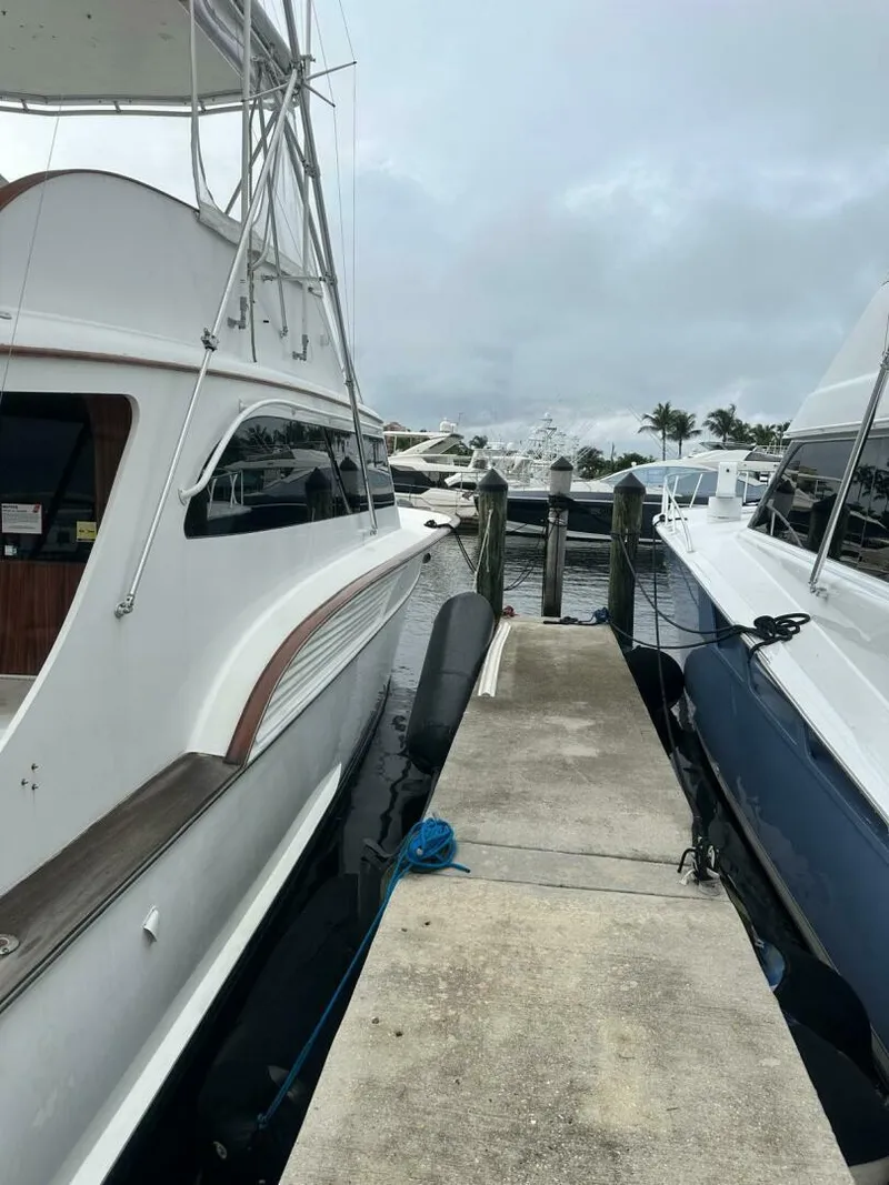 Slide: The Image of Buddy Davis SPORTFISH 2001 - 78