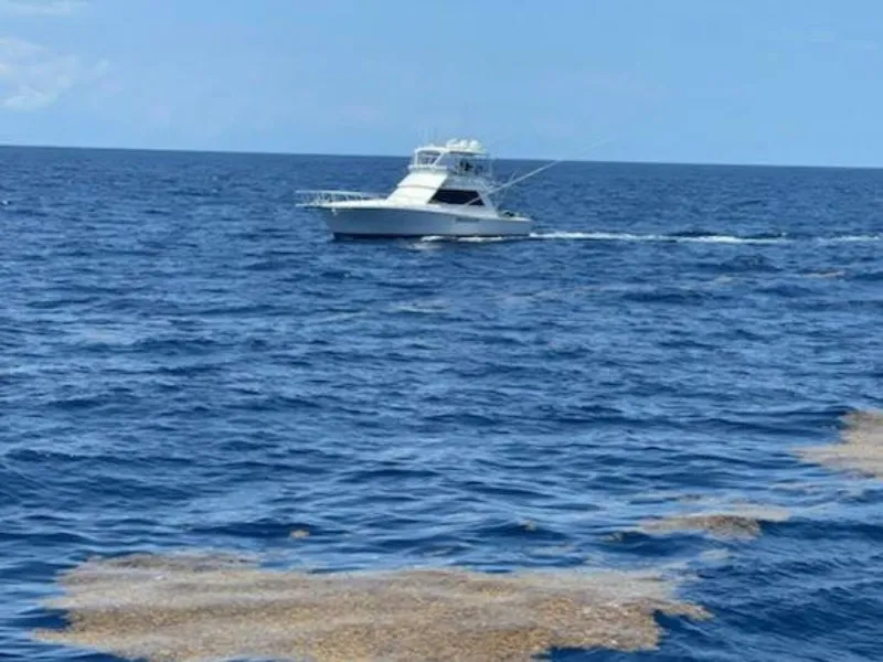 Slide: The Image of Viking 45 Convertible 1989 - 34