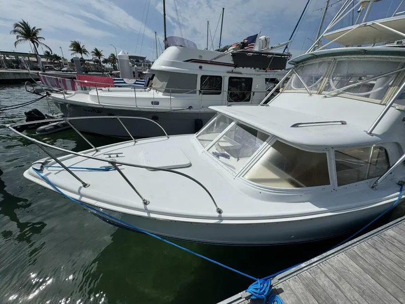 Slide: The Image of Bertram 31 Sportsman 1963 - 24