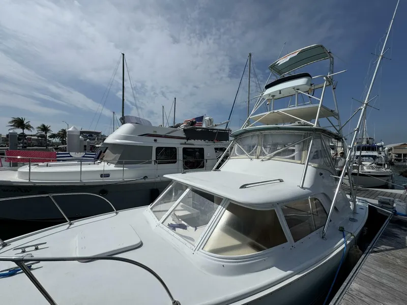 Slide: The Image of Bertram 31 Sportsman 1963 - 25
