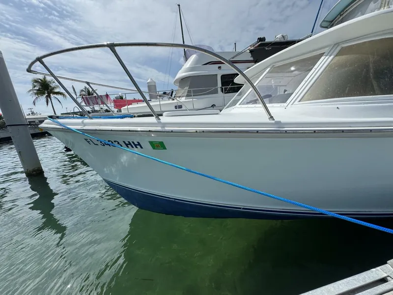 Slide: The Image of Bertram 31 Sportsman 1963 - 27