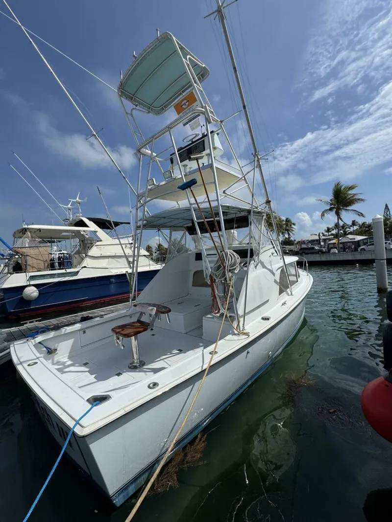 Slide: The Image of Bertram 31 Sportsman 1963 - 29