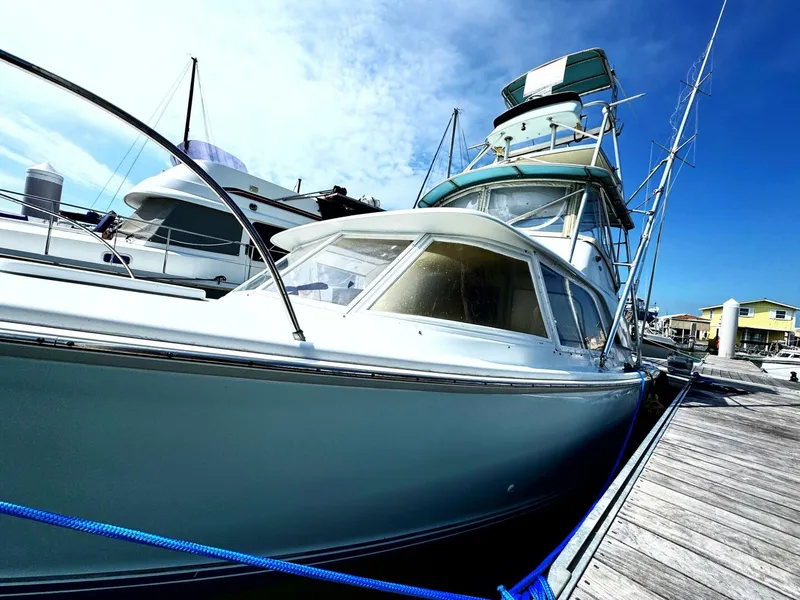 Slide: The Image of Bertram 31 Sportsman 1963 - 30