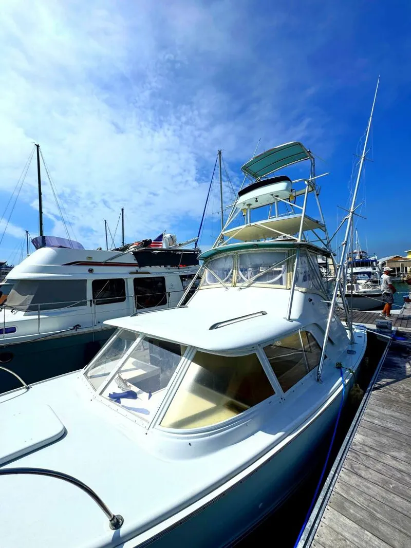 Slide: The Image of Bertram 31 Sportsman 1963 - 31