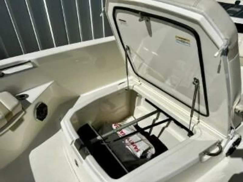 Slide: The Image of Boston Whaler 250 Dauntless 2023 - 13