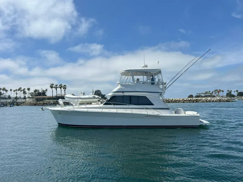 The Image of Riviera 43 Flybridge 2002 - 0