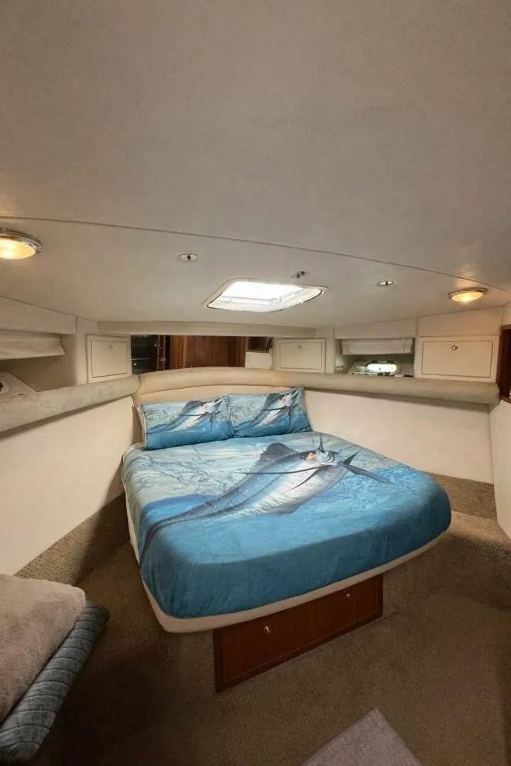 Slide: The Image of Riviera 43 Flybridge 2002 - 7