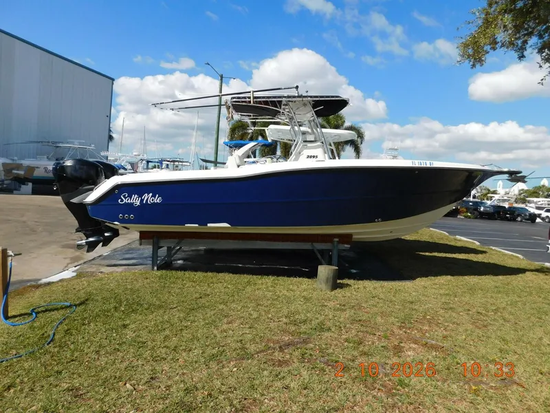 The Image of Triton 2895 CC 2006 - 0