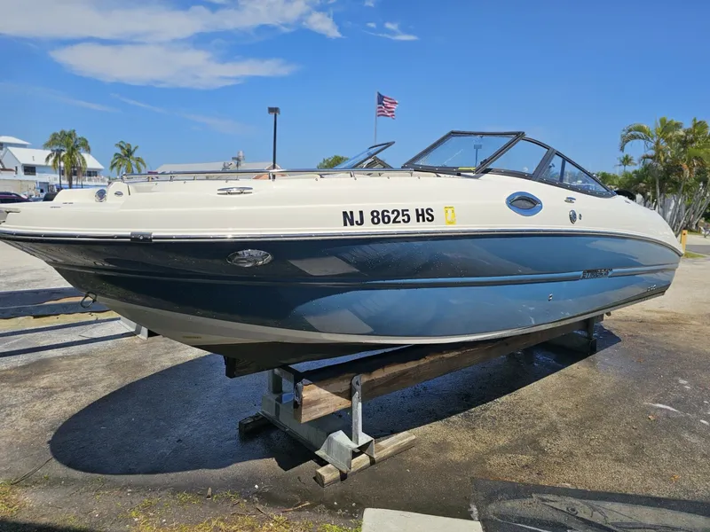 The Image of Stingray 231 2022 - 0