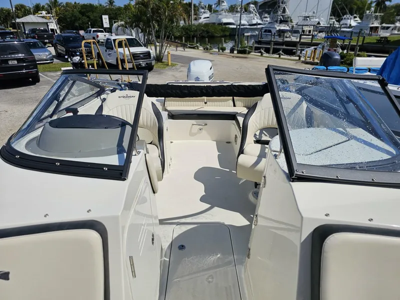 Slide: The Image of Stingray 231 2022 - 8