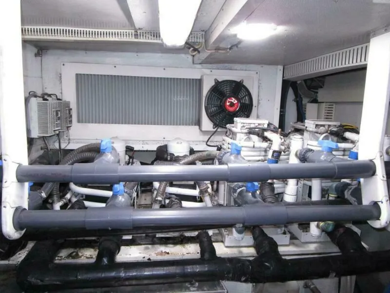 Slide: The Image of Hargrave Capri Skylounge 2004 - 65