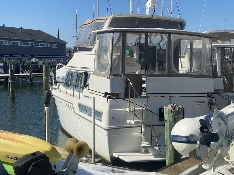 The Image of Carver Yachts 1994 - undefined