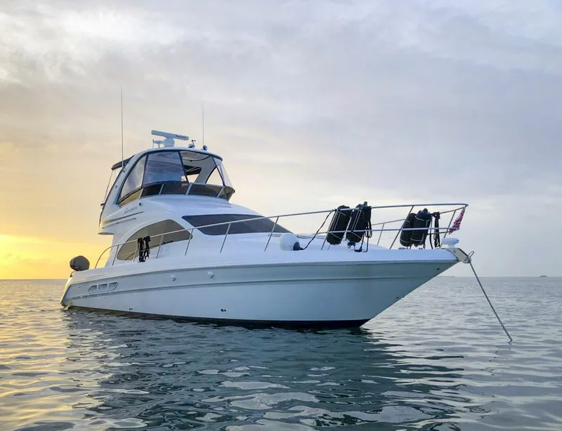 The Image of Sea Ray 44 Sedan Bridge 2007 - 0