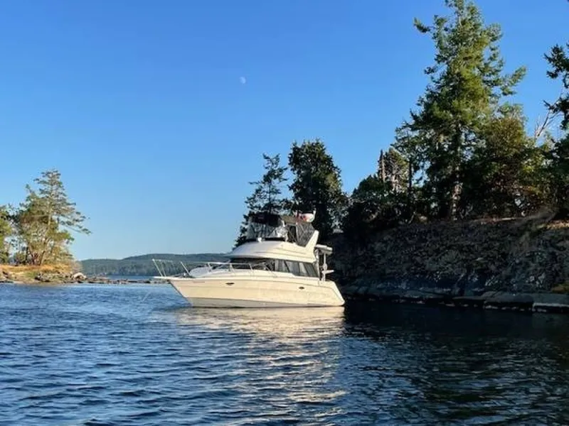 The Image of Bayliner 1991 - 0