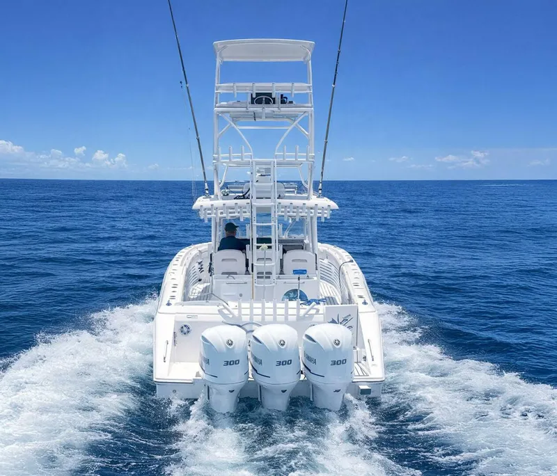 Slide: The Image of Stamas 390 Tarpon 2019 - 3