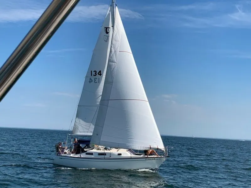 The Image of Tartan Piper 28 1993 - 0