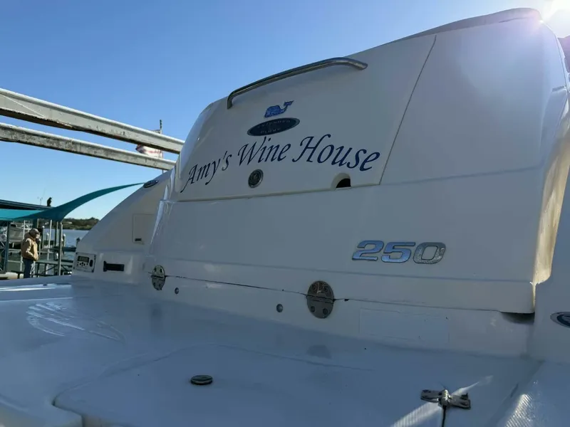 Slide: The Image of Chaparral 250 Signature 2008 - 33
