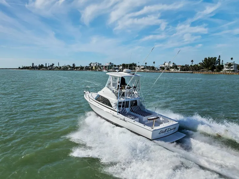 Slide: The Image of Bertram 35 Flybridge 2017 - 59