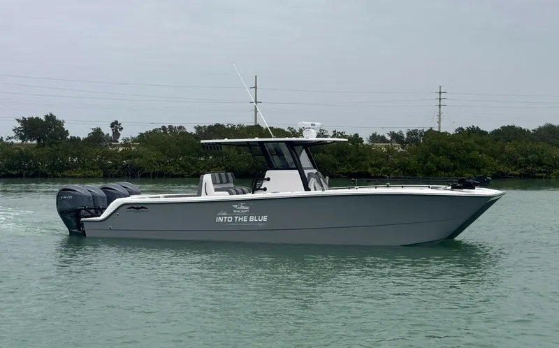 The Image of Invincible 35 Catamaran 2025 - 0