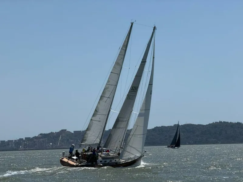 The Image of Schooner 2007 - 0
