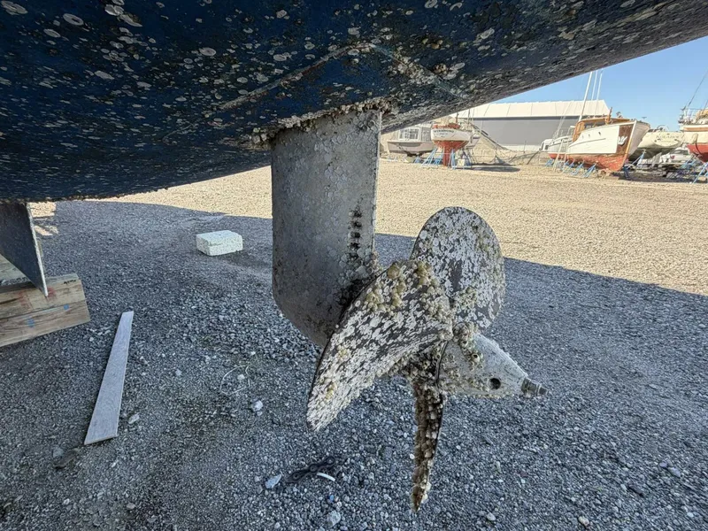 Slide: The Image of Leopard 48 2015 - 13