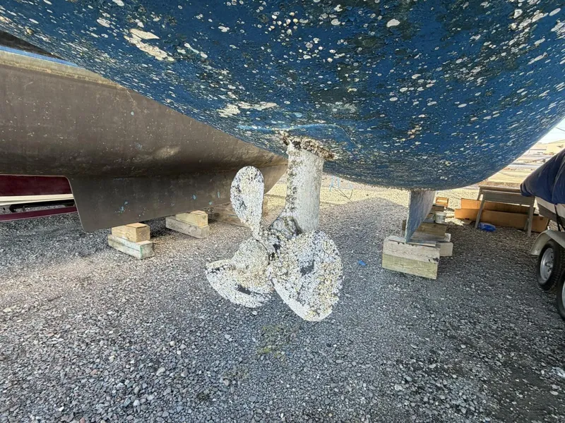 Slide: The Image of Leopard 48 2015 - 16