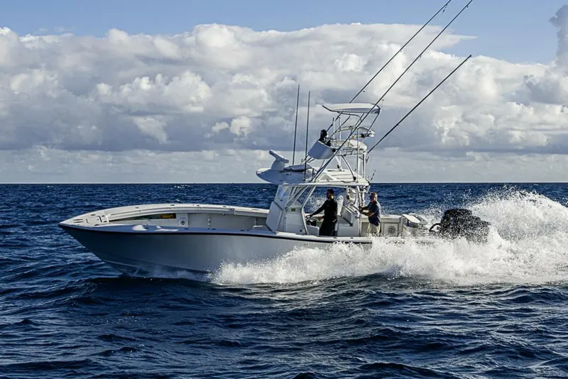 Slide: The Image of Yellowfin 2002 - 24