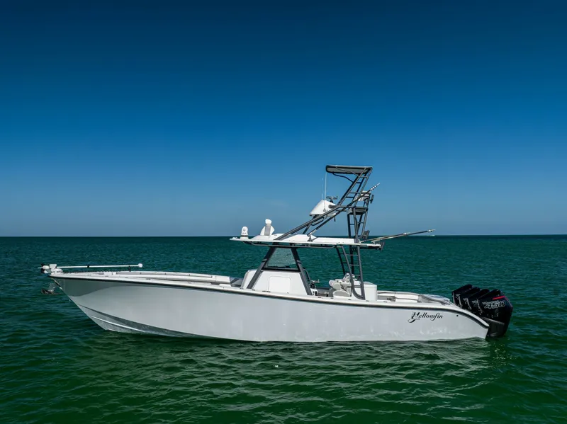 The Image of Yellowfin 2023 - 0