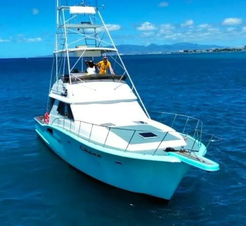 Slide: The Image of Chris-Craft 422 COMMANDER 1986 - 3