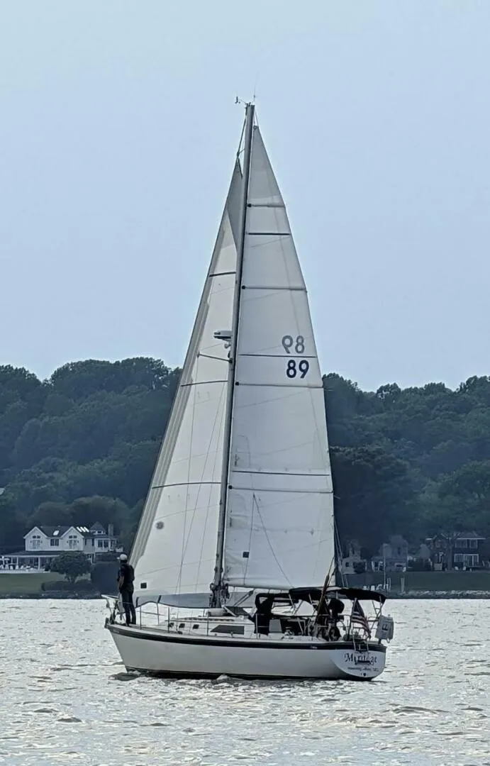 Slide: The Image of O'Day 1982 - 4