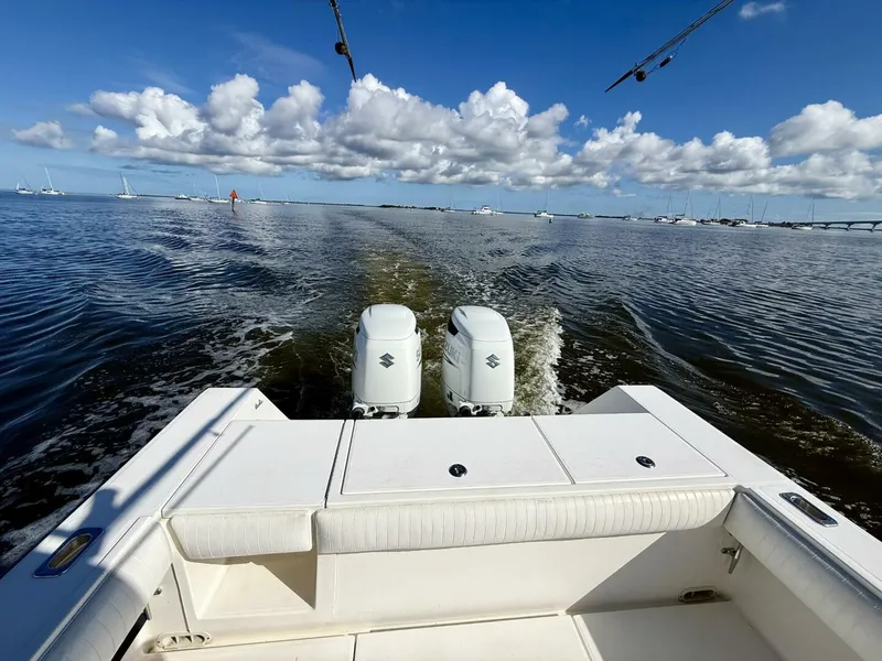 Slide: The Image of Regulator Marine 29 FS 2006 - 42