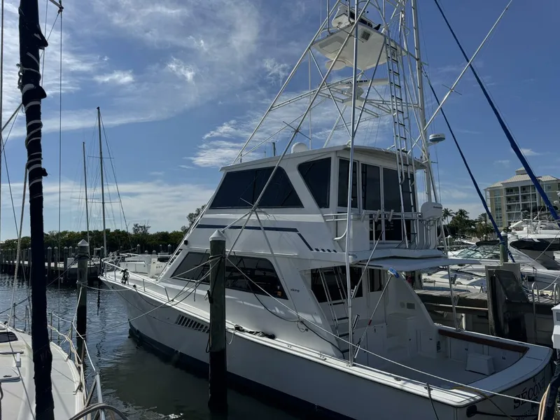 The Image of Viking 58 Convertible 1995 - 0